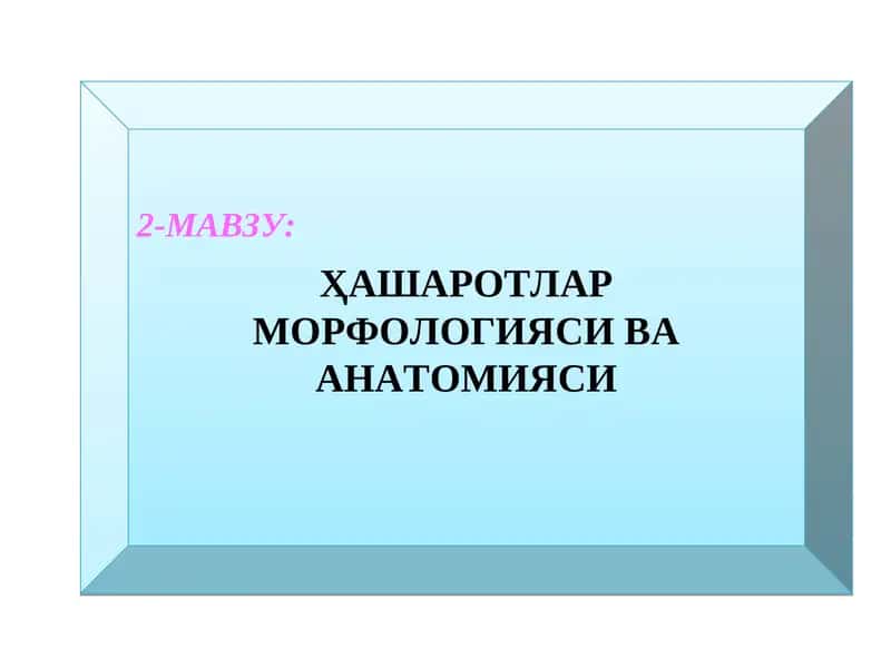 Ҳашаротлар морфологияси ва анатомияси 1