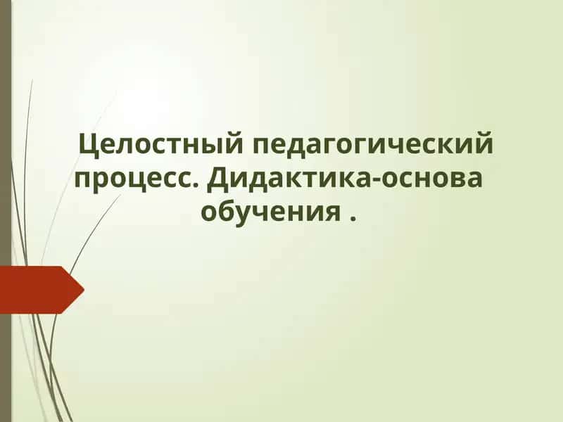 Целостный педагогический процесс 1