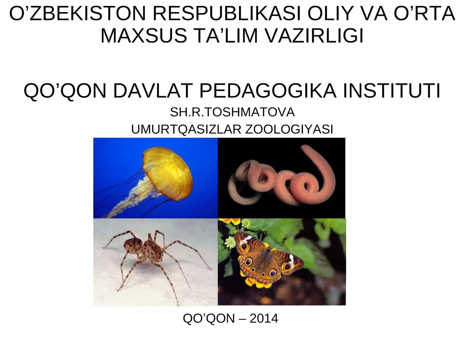 Traheya bilan nafas oluvchilar (TRACHEATA) 1