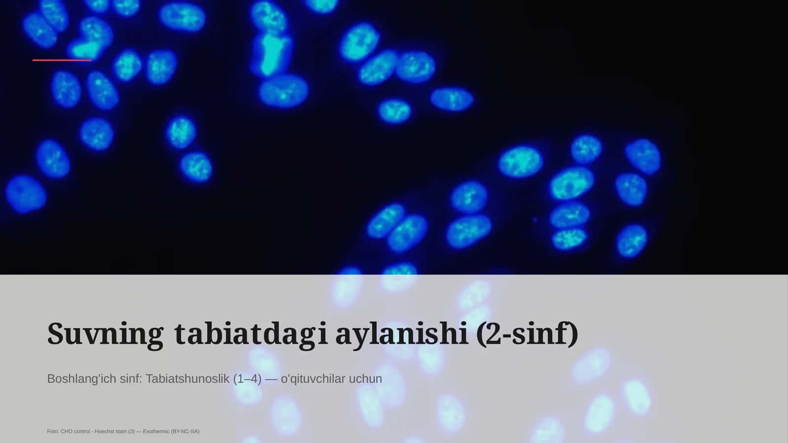 Suvning tabiatdagi aylanishi (2-sinf) 1