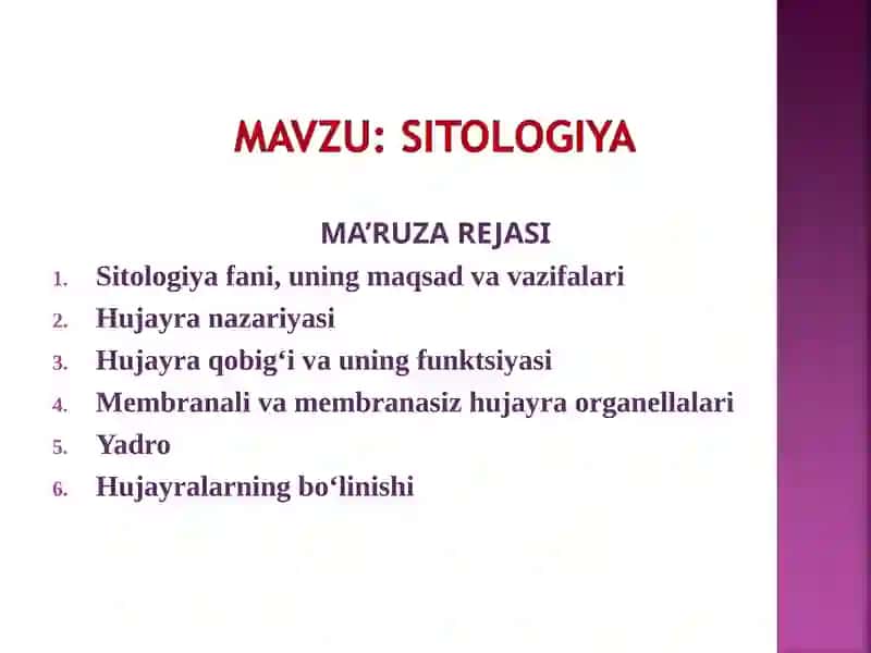 MA’RUZA REJASI