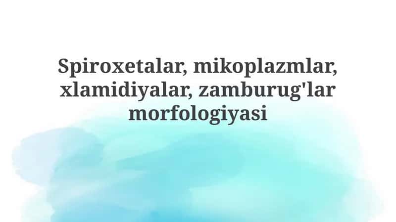 Mikoplazmalar morfologiyasi 1