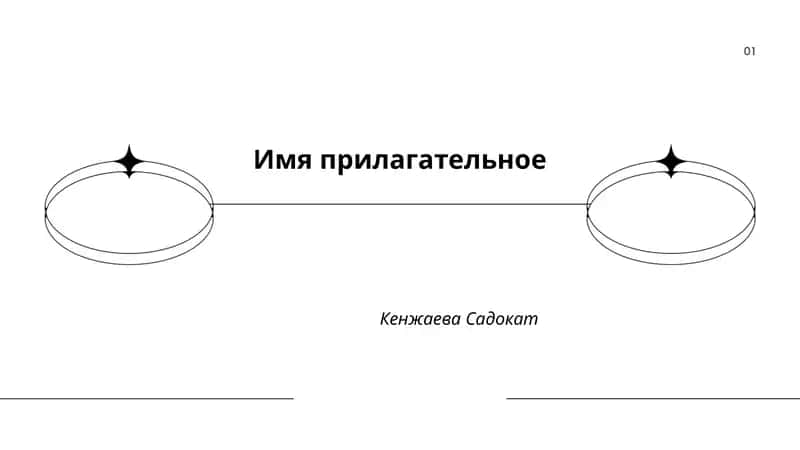 Имя прилагательное 1