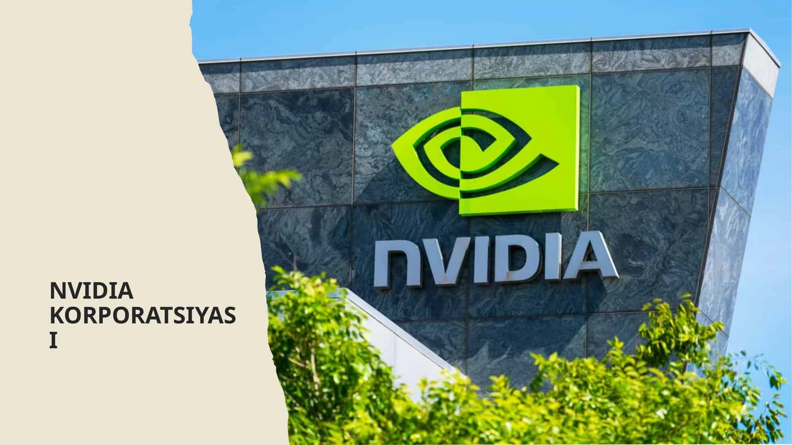 NVIDIA KORPORATSIYASI 1