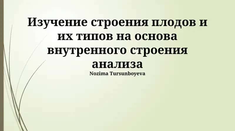 Строение и классификация плодов 1