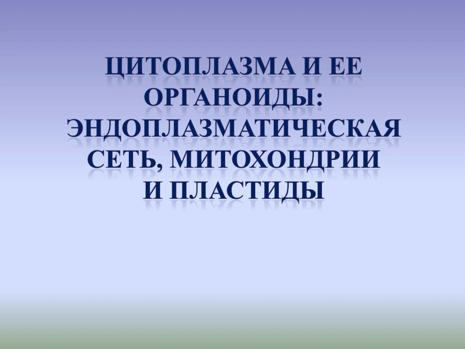Ядро 1