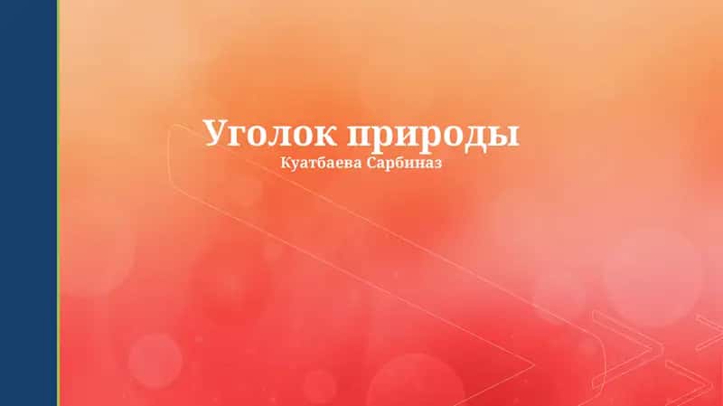 Уголок природы 1