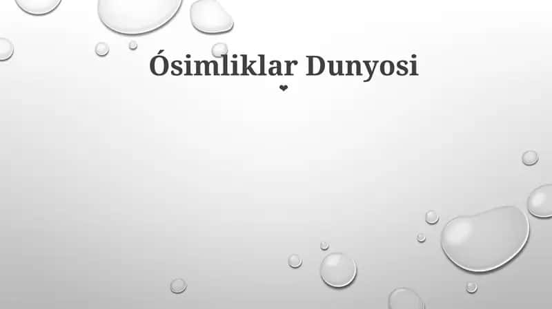 O'simliklar Dunyosi 1