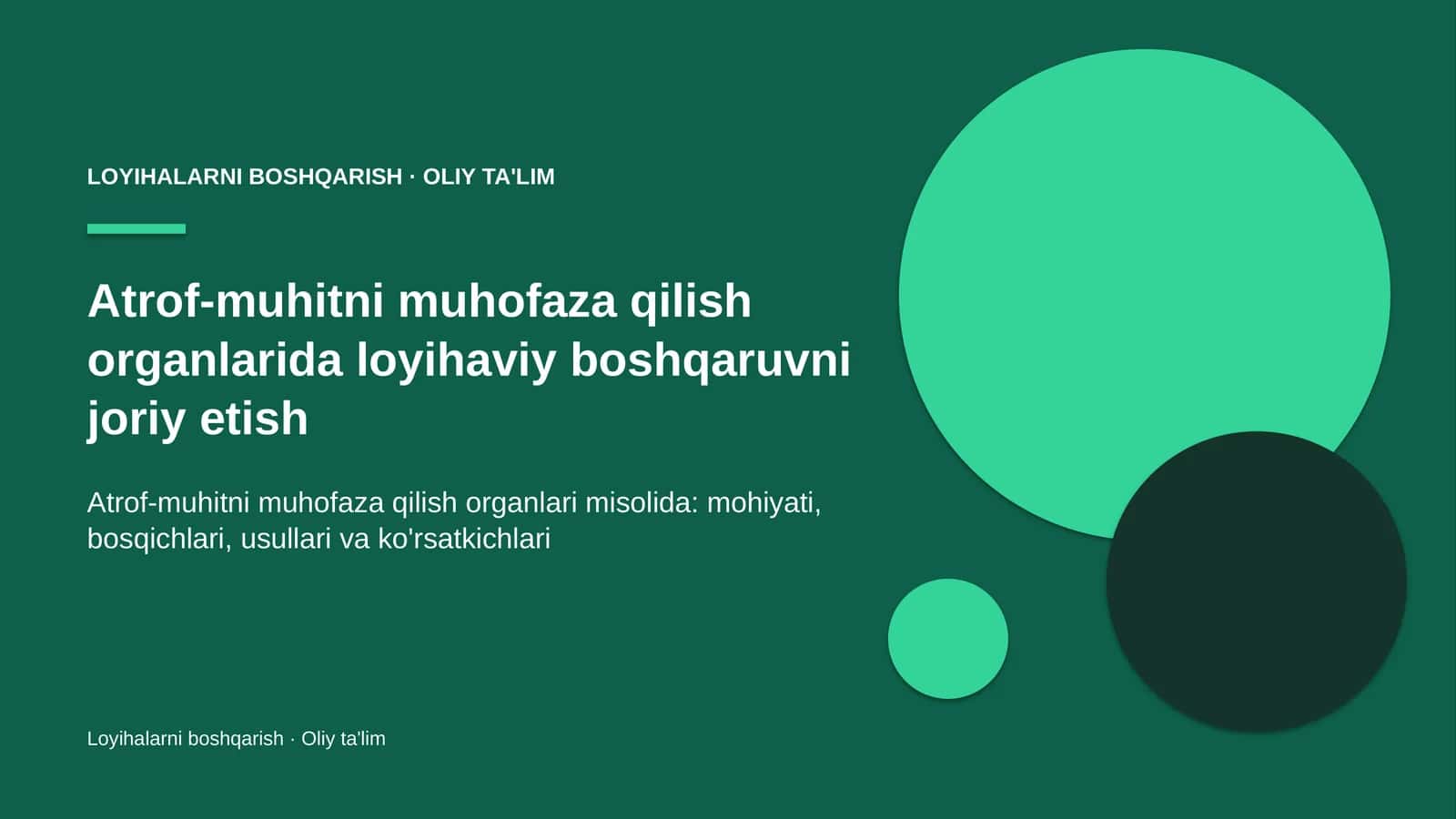Atrof-muhitni muhofaza qilish organlarida loyihaviy boshqaruvni joriy etish 1