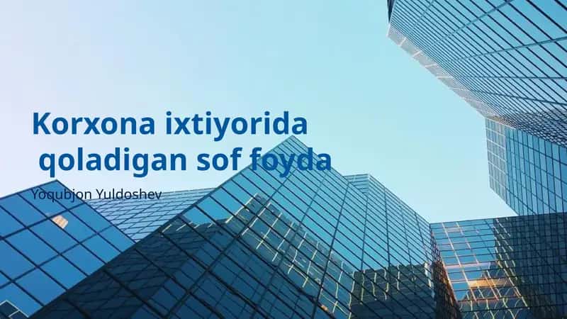Sof Foyda Tushunchasi 1
