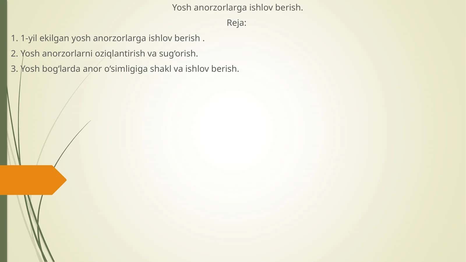 Yosh anorzorlarga ishlov berish 1