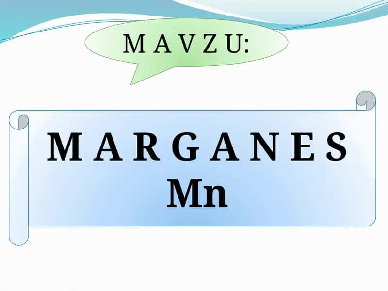 M A R G A N E S 1
