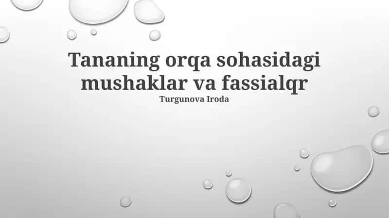 Tananing orqa sohasidagi mushaklar va fassialqr 1