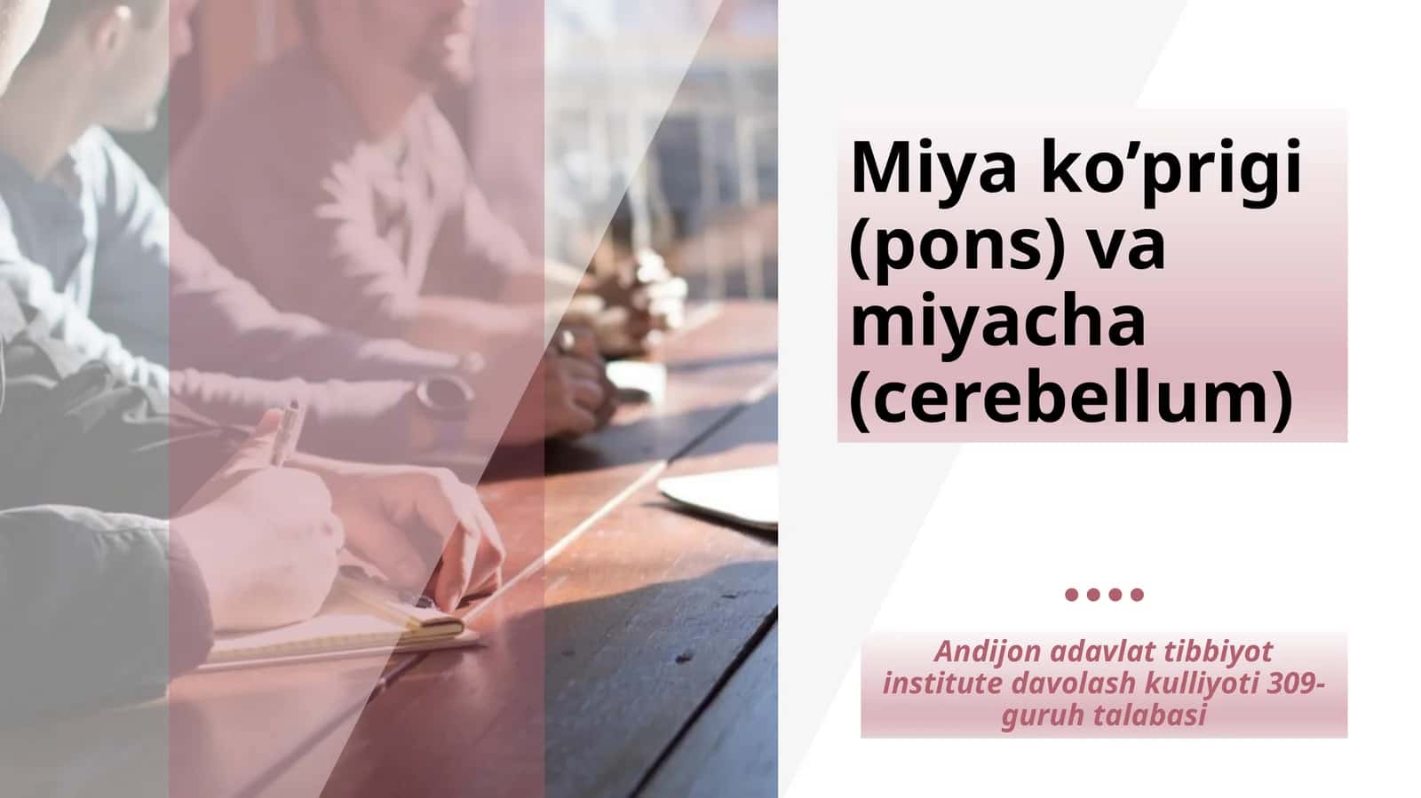 Miya ko’prigi (pons) va miyacha (cerebellum) 1
