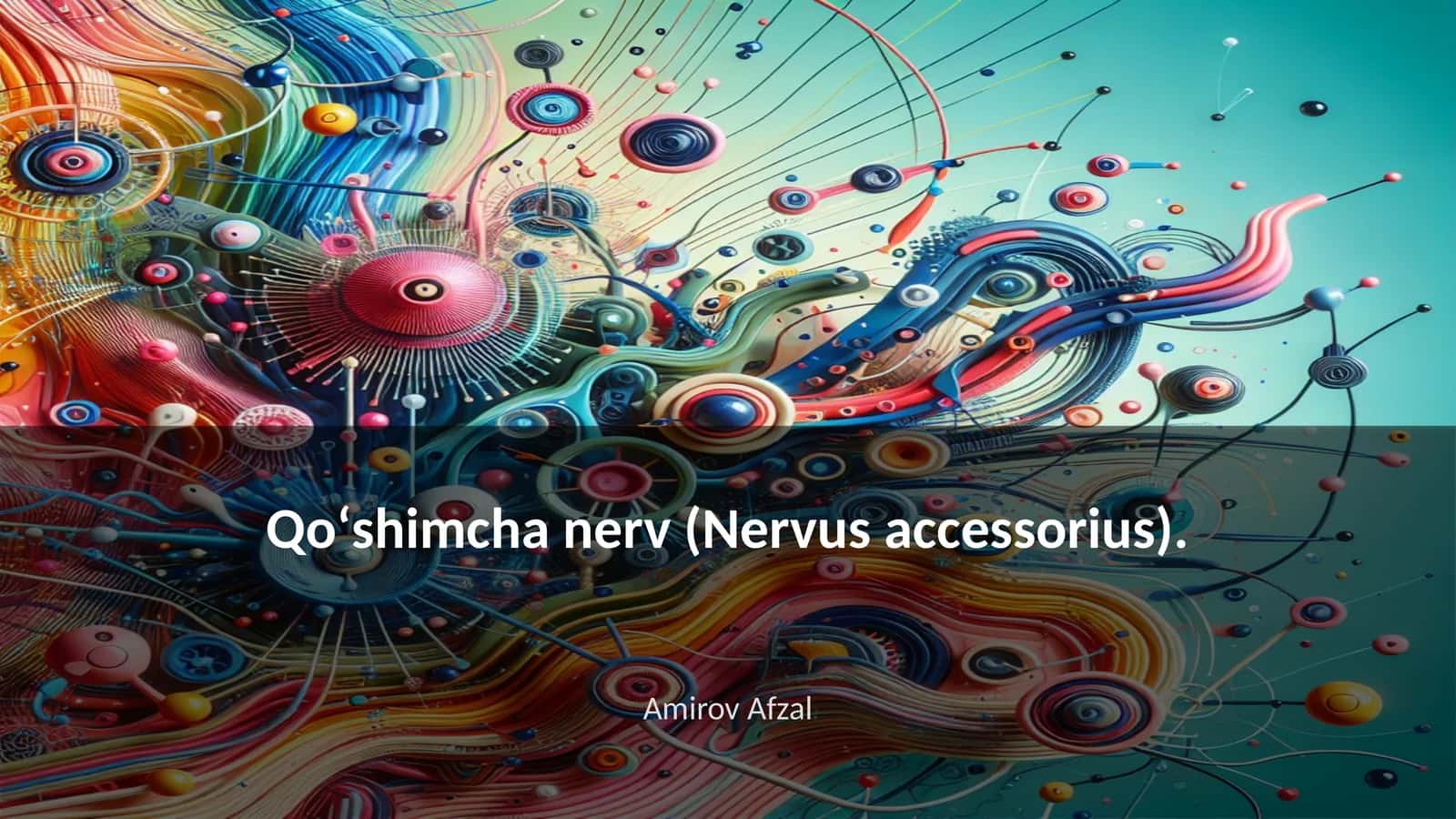Qoʻshimcha nerv (Nervus accessorius) 1
