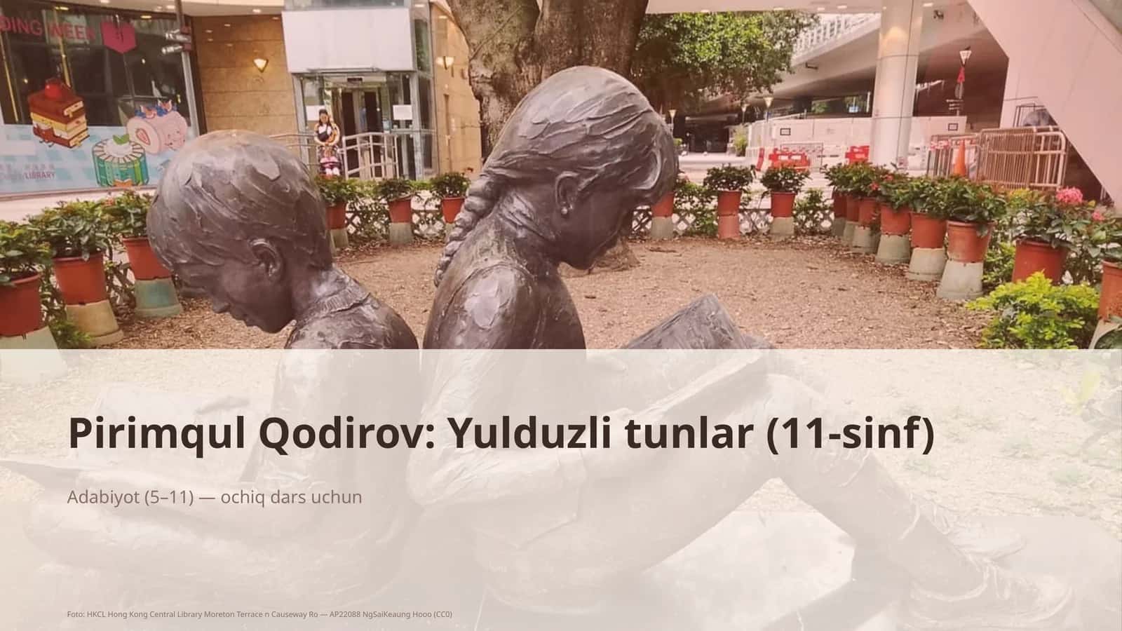 Yulduzli tunlar (11-sinf) 1