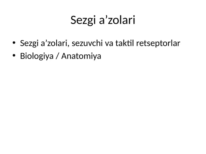 Sezgi a’zolari 1