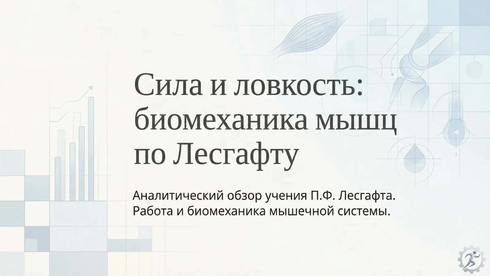 биомеханика мышц 1