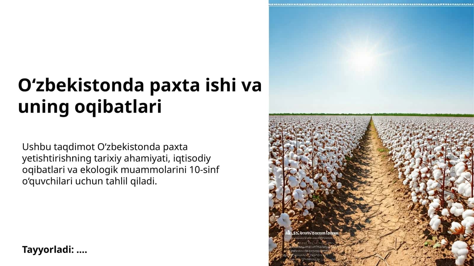 O‘zbekistonda paxta ishi va uning oqibatlari 1