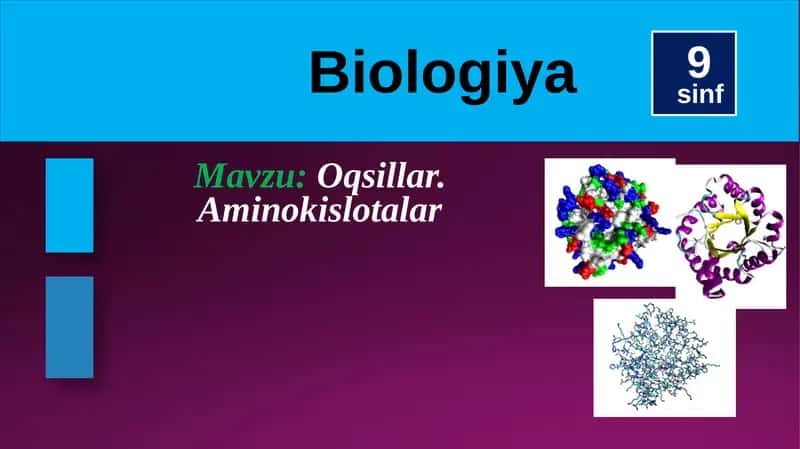 Oqsillar 1