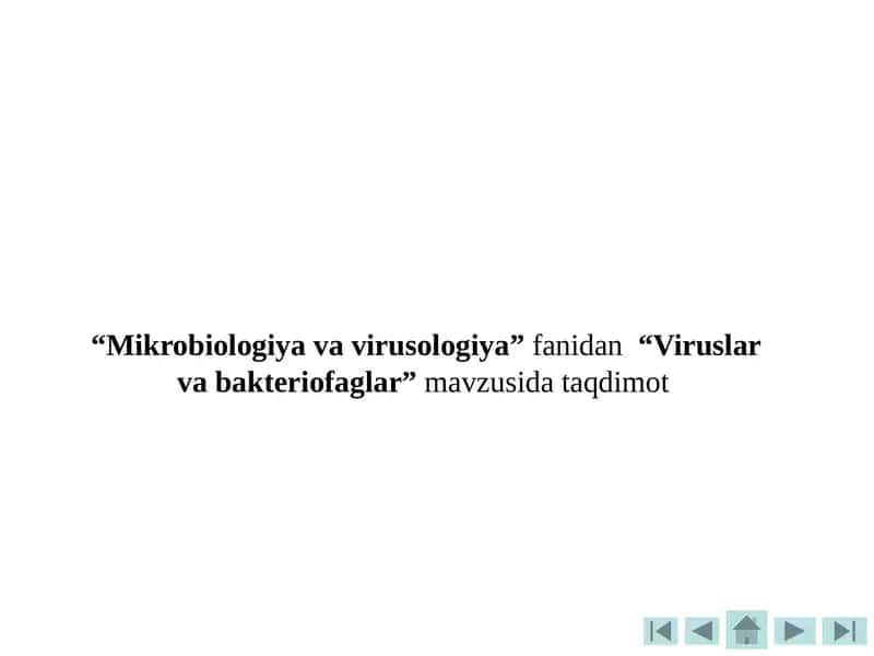 Viruslar va Bakteriofaglar 1