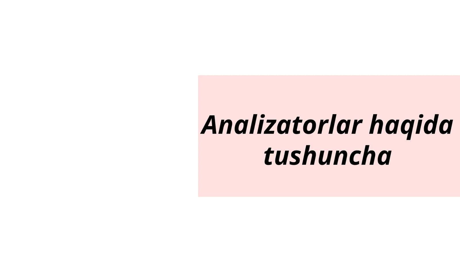 Analizatorlar haqida tushuncha 1