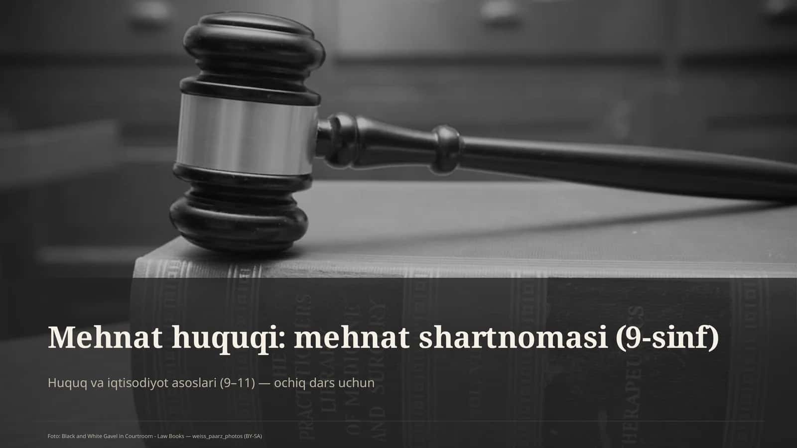 Mehnat huquqi: mehnat shartnomasi (9-sinf) 1