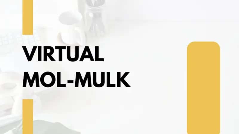 Virtual MOL-MULK 1
