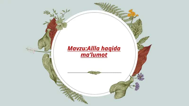 Alla 1