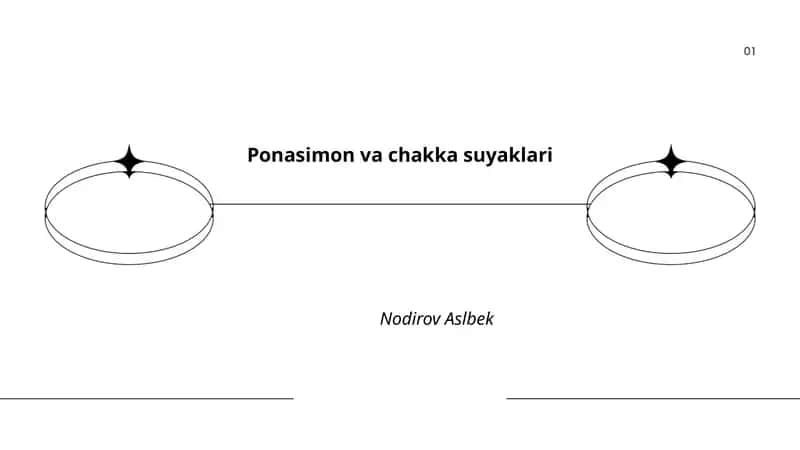 Ponasimon va chakka suyaklari 1