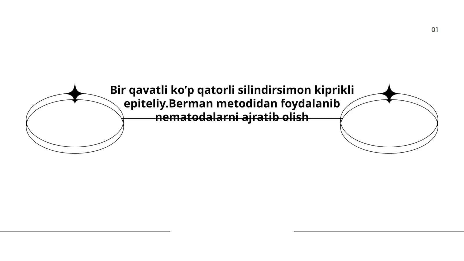 Bir qavatli ko'p qatorli silindrsimon kiprikli epiteliy 1