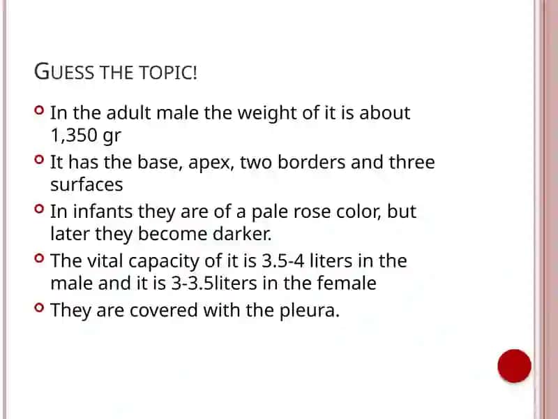 Respiratory system (Anatomy)