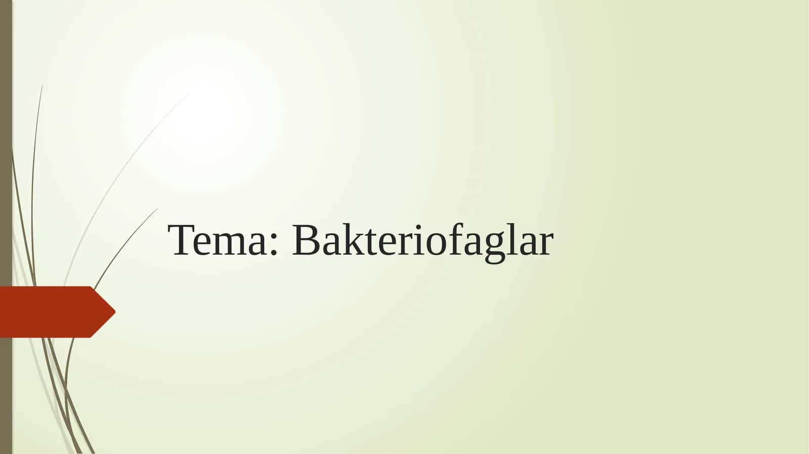 Bakteriofaglar 1