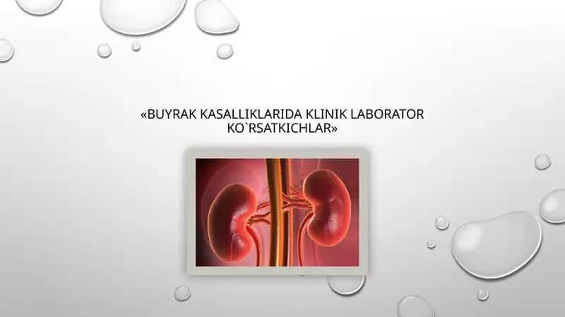 Buyrak kasalliklarida klinik laborator ko`rsatkichlar 1
