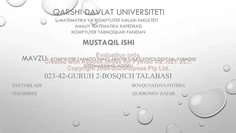 Kompyuter tarmog’ining arxitekturasi, topologiyasi, tarmoq sistemasining modeli 1