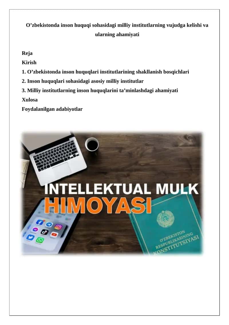 Inson huquqi sohasidagi milliy institutlar 1