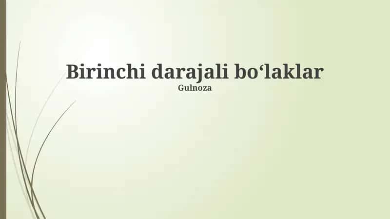 Birinchi Tartibli Parchalar 1