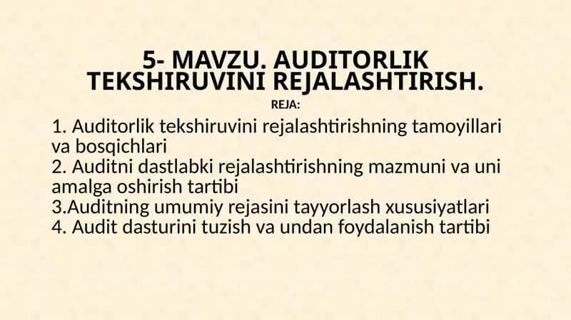 AUDITORLIK TEKSHIRUVINI REJALASHTIRISH 1