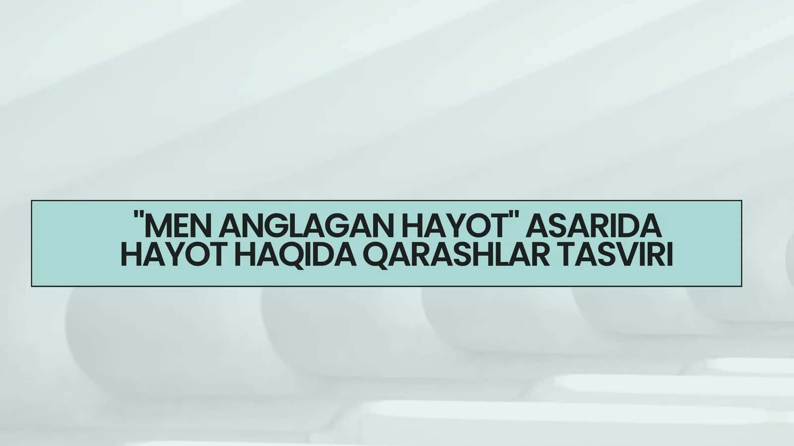 "MEN ANGLAGAN HAYOT" ASARIDA HAYOT HAQIDA QARASHLAR TASVIRI 1