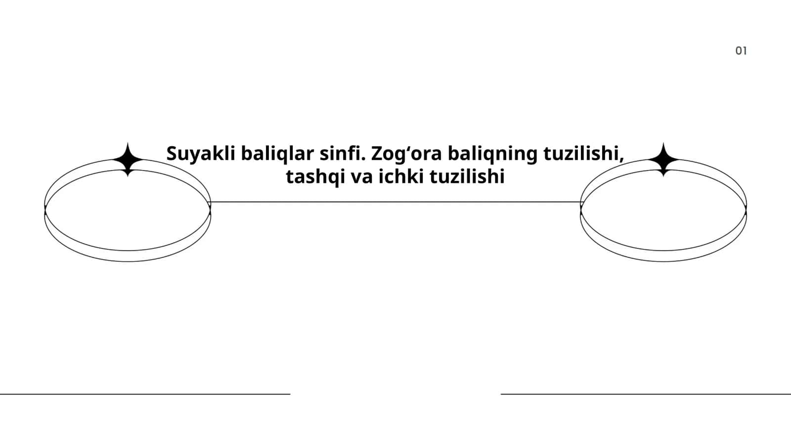 Suyakli baliqlar sinfi 1