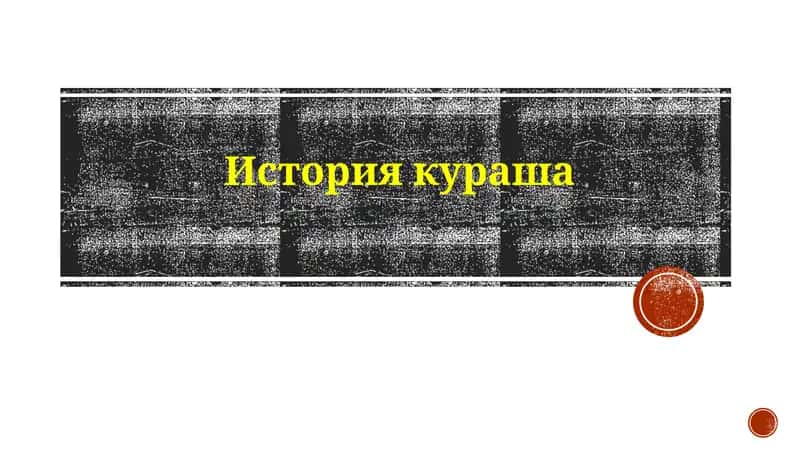 История кураша 1
