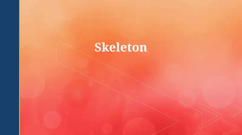 Skeleton 1