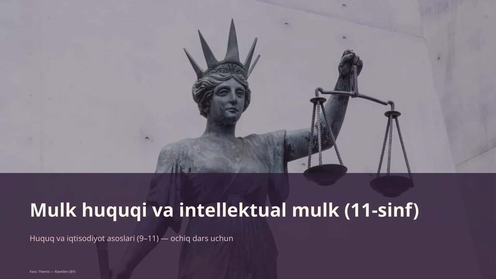 Mulk huquqi va intellektual mulk (11-sinf) 1