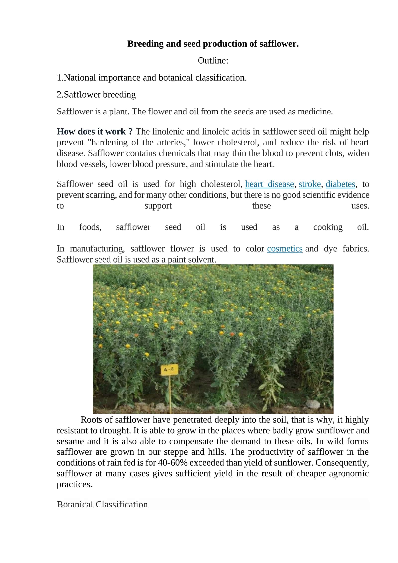 Breeding and seed production of safflower 1