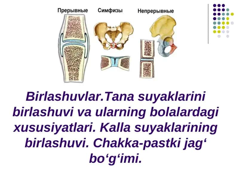 Birlashuvlar.Tana suyaklarini birlashuvi va ularning bolalardagi xususiyatlari 1