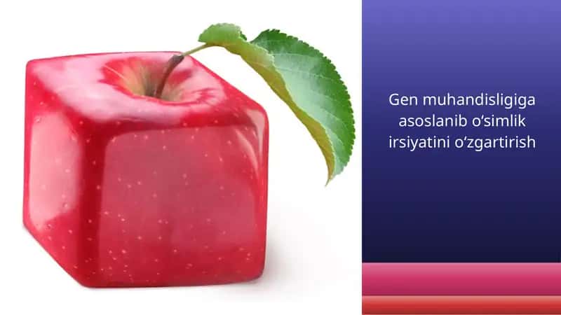 Gen muhandisligiga asoslanib o‘simlik irsiyatini o‘zgartirish 1