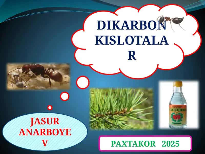 To’yingan dikarbon kislotalar va ularning hosilalari 1