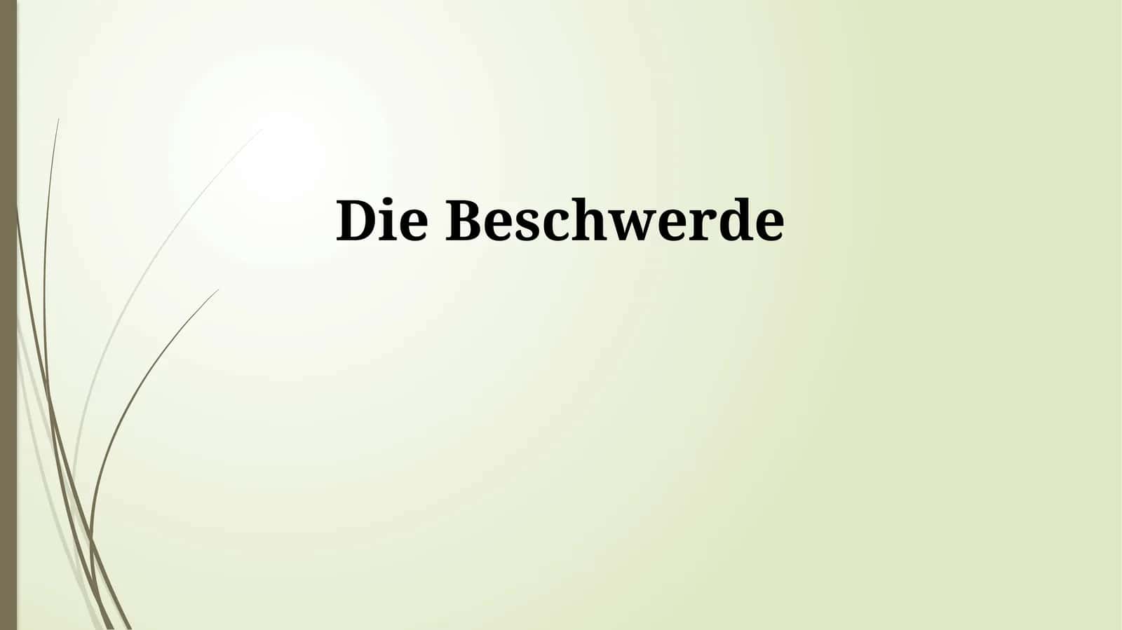 Die Beschwerde 1