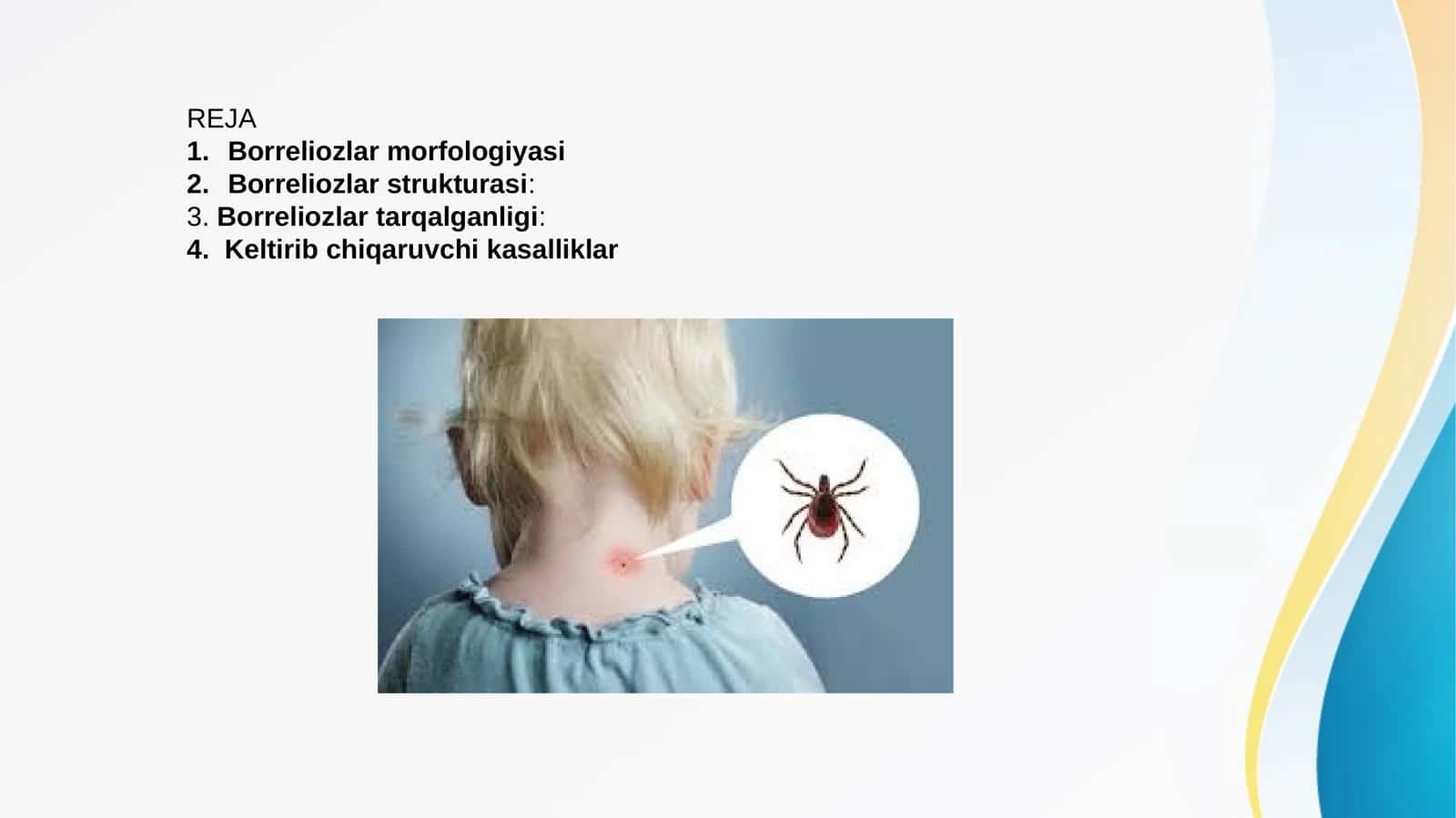 Borreliozlar morfologiyasi 1