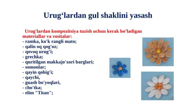 Urug‘lardan gulshaklini yasash 1